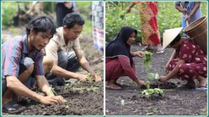 Satu Juta Satu Pekarangan Sektor Perkebunan, Dinas TPHP Banggai Lakukan Pendamping Dari Penyaluran Bantuan Hingga Pasca Panen
