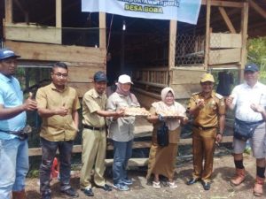 Realisasikan BKK TA 2022, Pemda Morut Melalui Pemdes Boba Serahkan Bibit Ayam Petelur