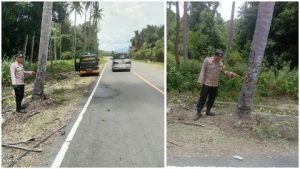 Motor Oleng dan Menabrak Pohon, Polsek Pagimana Datangi TKP Laka Tunggal