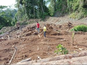Cerita 86 Orang Meninggal Dunia Akibat Bencana Tanah Longsor di Desa Ueruru