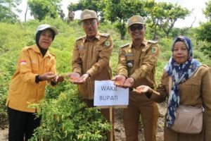 Wabup Djira Hadiri Kegiatan Lomba Desa Dan Panen Perdana, Tanaman Cabai Dalam Rangka Morut Gempar