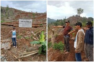 PT. CAS Diduga Babat Hutan  Produksi, Bupati Morut Diminta Bertindak