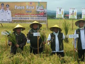Panen Raya, Kapolres Banggai Dampingi Kunjungan Kerja Mendagri RI di Toili Barat