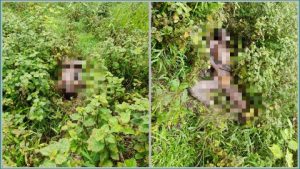 Cepat Sigap Kapolsek Bungku Utara Pimpin Anggota Polsek Lakukan Evakuasi, Warga Desa Salubiro Yang Diduga Bunuh Diri