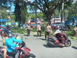 Pemangkasan Pohon di Pinggir Jalan, Polisi Lakukan Pengaturan Arus Lalu Lintas