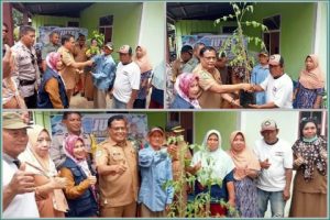Pemkab Banggai Salurkan 5000 Bibit Cabe dan Tomat, Di 2 Desa Kecamatan Luwuk Timur