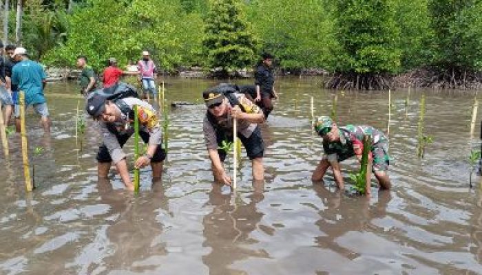 Hari Perikanan Sedunia, Kapolsek Liang Bersama Unsur Tripika Laksanakan Penanaman Bibit Mangrove di Desa Mamulusan