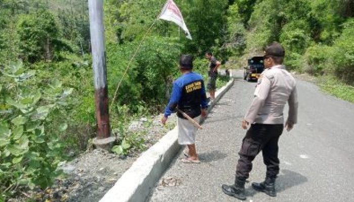 Seorang Wanita Asal Desa Tongke Balantak, Tewas Usai Tabrak Pembatas Jalan