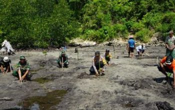 Kapolsek Liang Bersama Danramil Serta Pemdes dan Masyarakat Tangkop, Laksanakan Penanaman 500 Bibit Mangrove