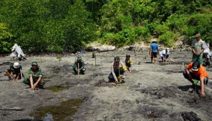 Kapolsek Liang Bersama Danramil Serta Pemdes dan Masyarakat Tangkop, Laksanakan Penanaman 500 Bibit Mangrove