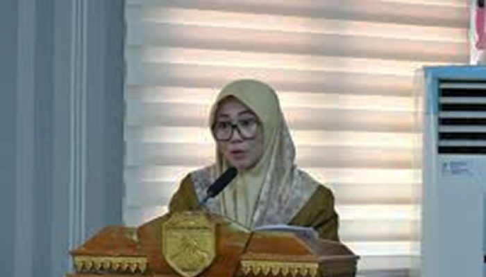 Pemda Tojo Una-Una akan gelar rapat sepekan penanganan pasca banjir di kecamatan Tojo