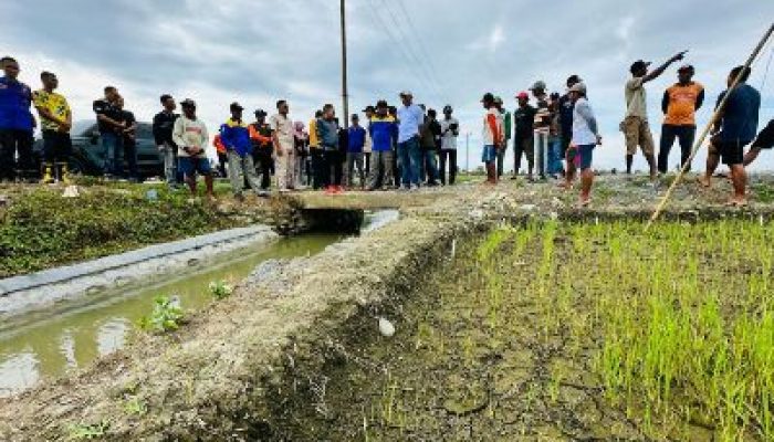 Bupati Amirudin Tinjau Dampak Kekeringan di Kecamatan Toili dan Moilong