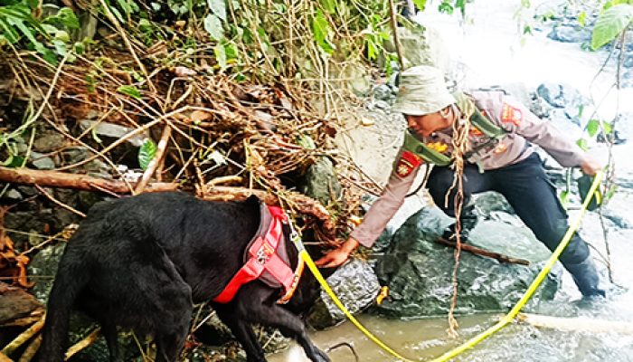 2 Korban hilang di Air Terjun Wera, Tim SAR Polda Sulteng diturunkan lakukan pencarian
