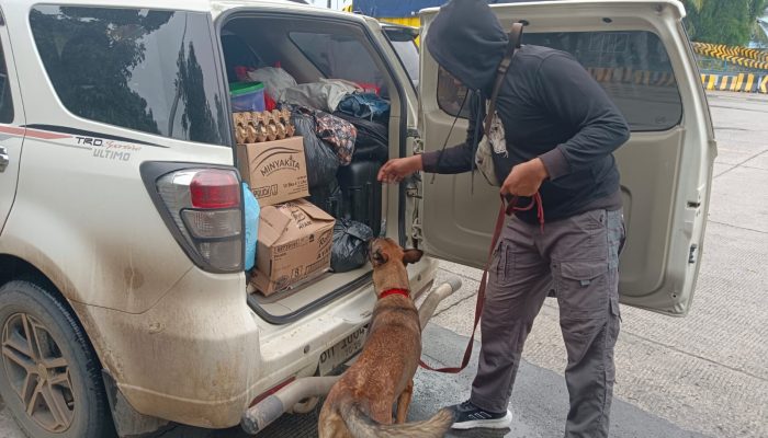 6 Anjing K9 Bantu Lacak Peredaran Narkoba di Pelabuhan Bakauheni, Ini Hasilnya