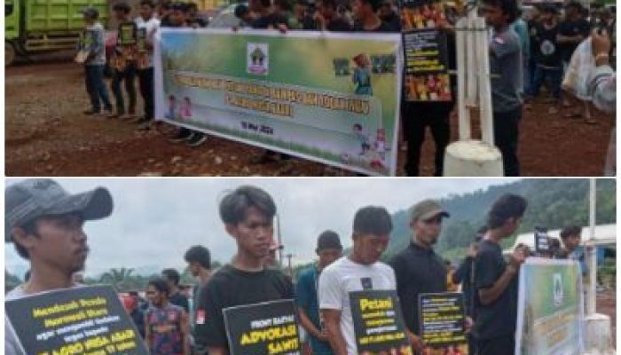 Serikat Petani Petasia Timur, Kembali Demo BPN dan Kantor Bupati Morut