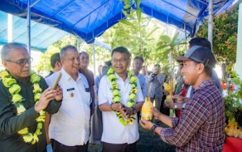 Gubernur Sulteng Serahkan Bantuan Bibit Produktif Secara Simbolik Kepada Kelompok Tani Hutan di Kabupaten Banggai