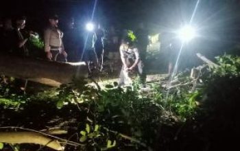 Polsek Balantak Sigap Bersihkan Pohon Tumbang, Yang Halangi Akses Jalan Akibat Angin Kencang