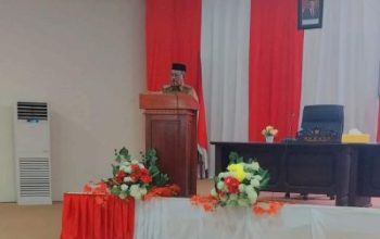 Wabup Morut Paparkan Penyusunan Raperda RPJPD 2025-2045