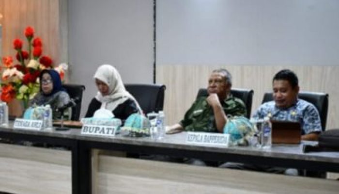 Staf Ahli Bupati Tojo Una-una, Buka Seminar Penyusunan Roadmap Sistem Inovasi Daerah (SIDa)