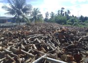 PT. Sasl and Sons Beli Kayu Gelondongan, Warga : Banjir Mengintai Kami!! 