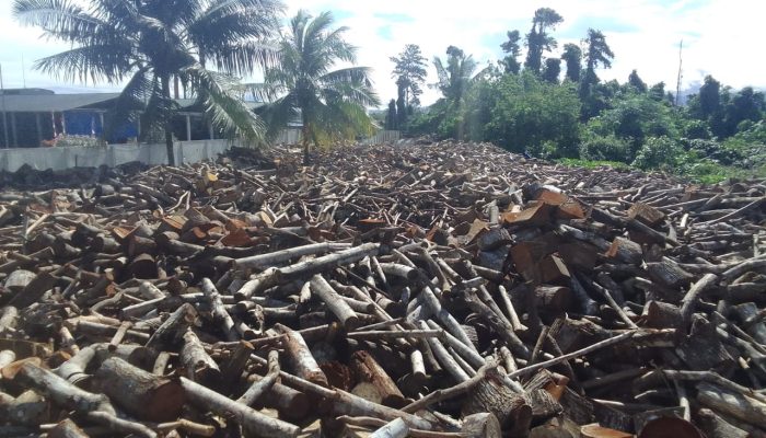 PT. Sasl and Sons Beli Kayu Gelondongan, Warga : Banjir Mengintai Kami!! 