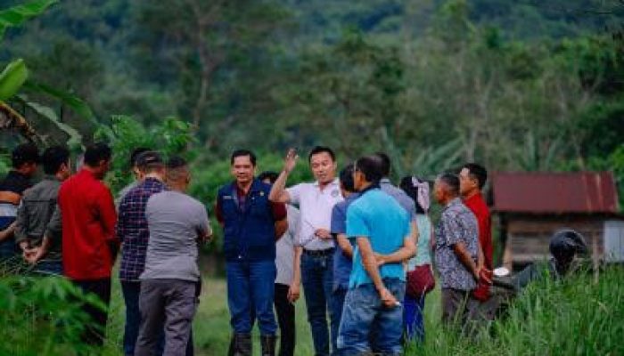 Turun ke Sawah di Undoro, Bupati Delis Ungkap Komitmennya Untuk Asuransikan Sawah Para Petani