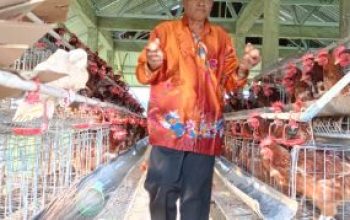 Program SJSP AT-FM, Sukses Tingkatkan Ekonomi Warga dan Santri Ponpes Bukit Makarti Toili Barat