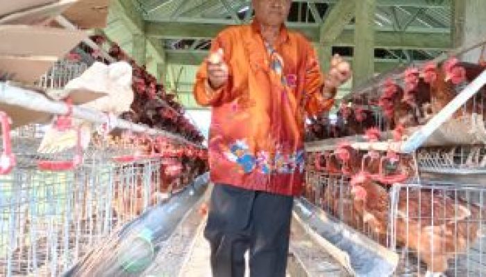 Program SJSP AT-FM, Sukses Tingkatkan Ekonomi Warga dan Santri Ponpes Bukit Makarti Toili Barat