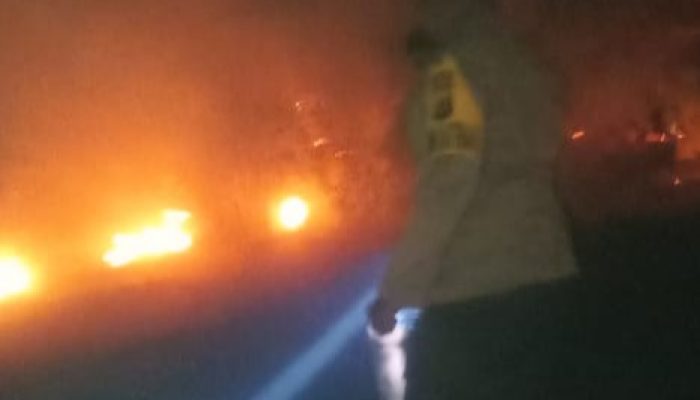Kebakaran Hebat Landa Kebun Cingkeh di Salodik, Diduga Akibat Pembakaran Rumput