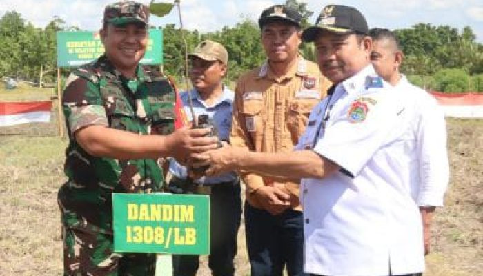Dandim 1308/LB Tanam 150 Pohon di Batui Selatan, Dorong Kesadaran Lingkungan