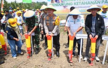 Dukung Asta Cita Presiden, Polda Sulteng Tanam Jagung Dilahan 20 Hektar