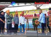 Bupati Tojo Una-Una Membuka Festival Pagelaran Seni dan Budaya Suku Toroka Desa Mire Kecamatan Ulubongka 