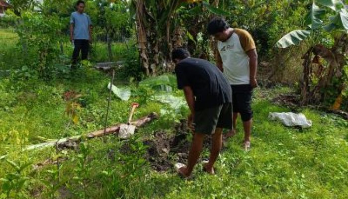Senpi Rakitan Ditemukan Warga di Desa Kilo Poso, Saat Gali Lubang