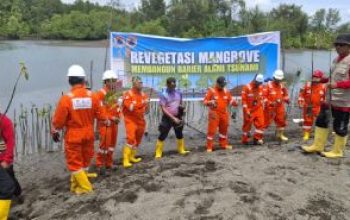 Polsek Batui dan JOB Tomori Kolaborasi Dalam Aksi Penanaman Mangrove di Desa Paisubololi