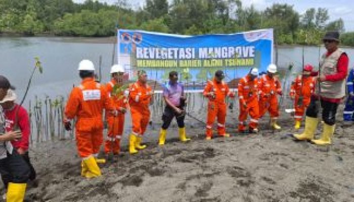 Polsek Batui dan JOB Tomori Kolaborasi Dalam Aksi Penanaman Mangrove di Desa Paisubololi