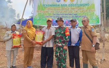 Danramil 1308-11 Liang Bekerjasama Dengan Dinas Pertanian Bangkep, Laksanakan Penanaman Padi Gogo/Ladang