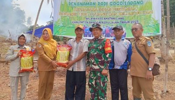 Danramil 1308-11 Liang Bekerjasama Dengan Dinas Pertanian Bangkep, Laksanakan Penanaman Padi Gogo/Ladang