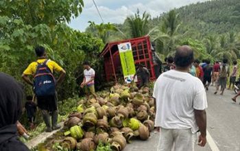 Polisi Dan Warga Bantu Evakuasi Laka Tunggal Truck Muat Gas, Akibat Rem Blong di Balantak Selatan