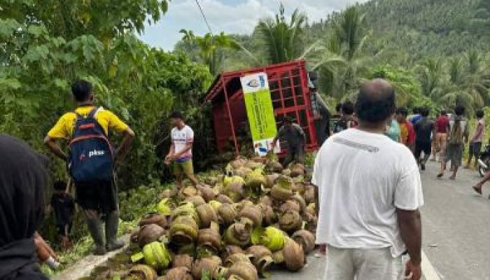 Polisi Dan Warga Bantu Evakuasi Laka Tunggal Truck Muat Gas, Akibat Rem Blong di Balantak Selatan