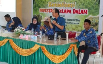 PT Freenow Bekerjasama Dengan Pemda Bangkep, Sosialisasikan Rencana Pembelian Kelapa Untuk di Eksport ke Cina