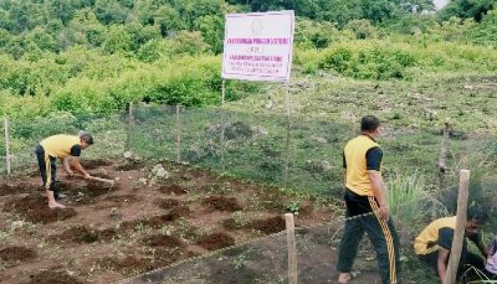 Kapolsek Ajak Bhayangkari Polsek Liang, Untuk Giat Dalam Penanaman Tanaman Herbal