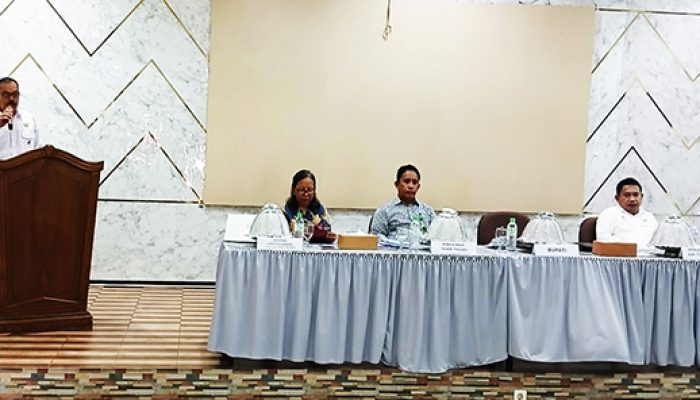 Workshop Pengenalan Program ASEAN ENMAPS Digelar di Kabupaten Tojo Una Una 