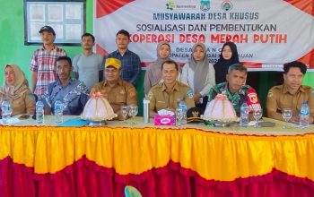 Nurmasita Sinaling Terpilih Menjadi Ketua Koperasi Merah Putih Desa Liang Pada Musdes Pembentukan Yang Dihadiri Camat Liang