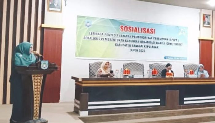 Ketua TP-PKK Bangkep, Sampaikan Materi Pada Sosialisasi Lembaga Pemberdayaan Perempuan
