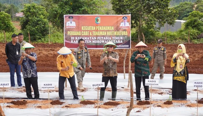 Bupati Morut Buka Lokakarya Lintas Sektoral, dan Tanam Perdana Cabai di Petasia Timur