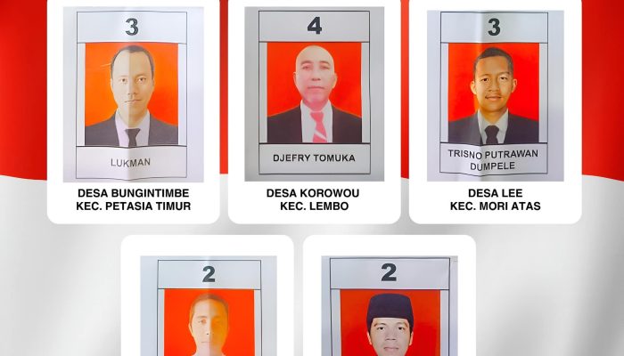 5 Desa di Morowali Utara Gelar Pilkades Serentak, Berikut Nama-nama Kades Terpilih