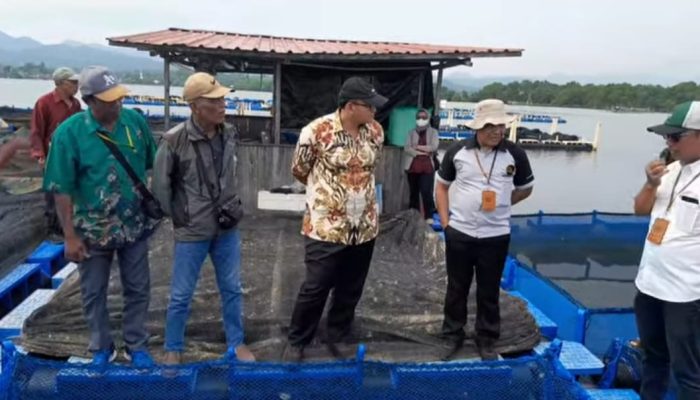 Wakil Bupati Banggai Kepulauan Dampingi Nelayan, Dalam Pelatihan Budidaya Ikan di Kabupaten Barru
