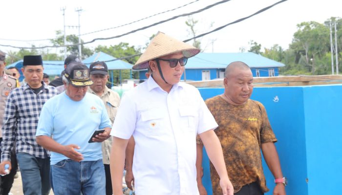 Di Desa Ungkea, Bupati Morut Lakukan Panen Perdana Sekaligus Tinjau Budidaya Ikan Nila