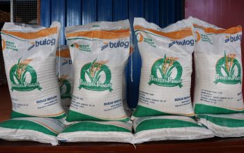 Sejumlah Warga Desa Honbola, Pertanyakan Penyaluran Bantuan Beras Program Ketapang