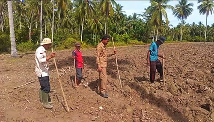 Peran Strategis Pemasyarakatan dalam Mendukung Program Ketahanan Pangan di Tojo Una Una